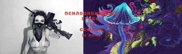 2c-b Арсеньев